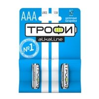 Купить Трофи LR03-2BL NEW (60/480/19200) в Москве с доставкой по всей России