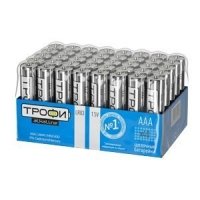 Купить Трофи LR03-40 bulk ECO (40/960/46080) в 