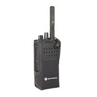Купить Motorola PMLN5845 в 