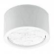 Купить Светильник светодиодный Спутник SP-DL116C White в 