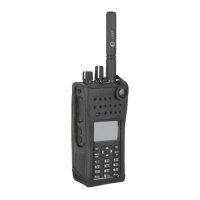 Купить Motorola PMLN5844 в 