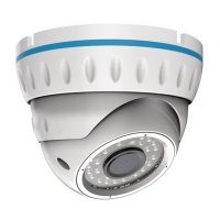 Купить Купольная AHD видеокамера Rexant 45-0143 в Москве с доставкой по всей России