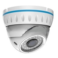 Купить Купольна IP видеокамера Rexant 45-0252 в Москве с доставкой по всей России