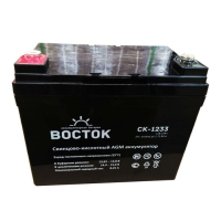 Купить Восток СК 1233 в 