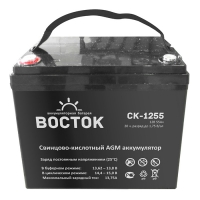 Купить Восток СК 1255 в 