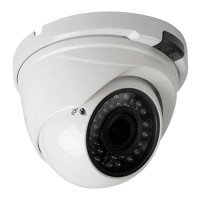 Купить Купольна IP видеокамера Rexant 45-0373 в Москве с доставкой по всей России