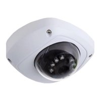Купить Купольна IP видеокамера Rexant 45-0156 в Москве с доставкой по всей России