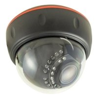 Купить Купольна IP видеокамера Rexant 45-0272 в Москве с доставкой по всей России