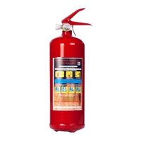 Купить Порошковый огнетушитель ОП-2 (з) АВСЕ в 