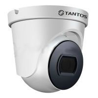 Купить Купольная видеокамера Tantos TSc-E5HDf (3.6) в 