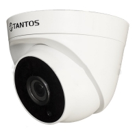 Купить Купольная IP-камера Tantos TSi-Eeco25F (3.6) в Москве с доставкой по всей России