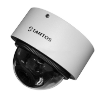 Купить Купольная IP-камера Tantos TSi-Vn235VPZ (2.8-12) в Москве с доставкой по всей России