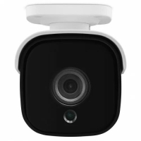 Уличная IP-камера Proline PR-IB2210FC