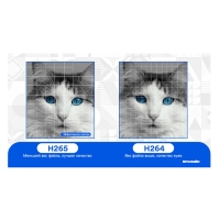 Уличная IP-камера Proline PR-IB2210FC