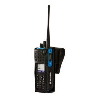Купить Motorola PMLN6099 в Москве с доставкой по всей России