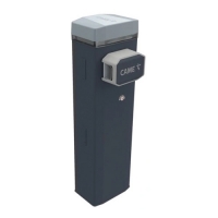 Купить CAME GGT80AGS (803BB-0180) в 