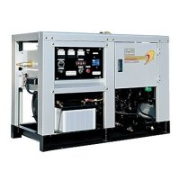 Вепрь YEG250NTHC/S-газ