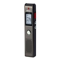 Купить Цифровой диктофон Ritmix RR-100-2GB в 