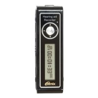 Купить Цифровой диктофон Ritmix RR-550-1GB в 