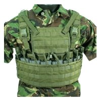 Купить Жилет разгрузочный BlackHawk Enhanced Commando Recon Olive в 