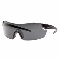 Купить Тактические очки Smith Optics PIVLOCK V2 ELITE PVTPCGYIGBK в 