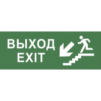 Купить Самоклеящаяся этикетка ЭРА INFO-DBA-013 200х60мм 
