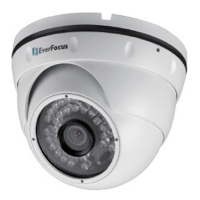 Купить Купольная IP-камера EverFocus EBN268 в Москве с доставкой по всей России