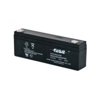 Купить CASIL CA1220 в 