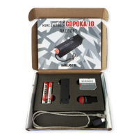 Мини диктофон Сорока-10