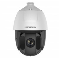 Купить DS-2DE5425IW-AE(S5) в 