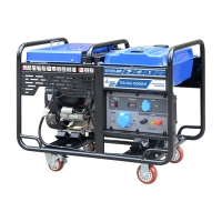 Купить Бензогенератор TSS SGG 12000EH в 