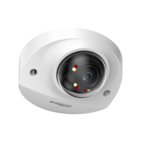 Купить DH-IPC-HDBW2249FP-AS-IL-0280B в 