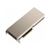 NVIDIA Tesla A100 80Gb OEM Графический ускоритель вычислений 900-21001-0020-100