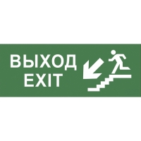 Купить Самоклеящаяся этикетка ЭРА INFO-SSA-109 350х130мм 