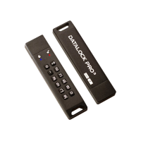 Купить ФЛЕШКА С ПИН-КОДОМ DATALOCK PRO 64 GB USB 3.0 в 