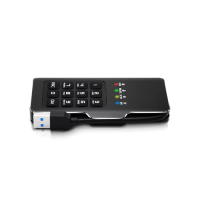 МИНИ-ДИСК С ПИН-КОДОМ DATALOCK PRO М2 256 ГБ