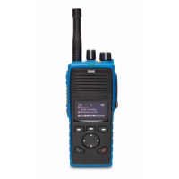 Купить Взрывозащищенная рация Entel DT885PMR в 