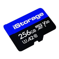 Купить ISTORAGE MICROSD CARD 256GB в 