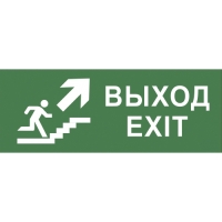 Купить Самоклеящаяся этикетка ЭРА INFO-SSA-110 350х130мм 