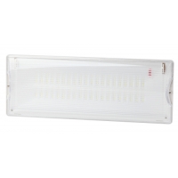 Купить Аварийный светильник светодиодный ЭРА DPA-301-0-65 непостоянный 40LED 3ч IP65 в 