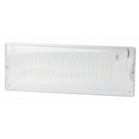 Купить Аварийный светильник светодиодный ЭРА DPA-301-1-65 постоянный 40LED 3ч IP65 в 