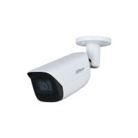 Купить DH-IPC-HFW3241EP-S-0280B-S2 в Москве с доставкой по всей России